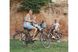 Фото Переднее велокресло детское Bellelli Rabbit Handlefix до 15кг, Silver/Red (01RBT00007) № 4 з 4