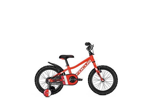 Велосипед детский Focus Raven Rookie 16 (FCS 628019002)