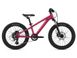 Велосипед детский Liv STP 20 FS, 2021, Virtual Pink, One Size (2104043110)