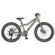Велосипед дитячий Scott Roxter 20 raw alloy CN 2021 (280879.222)