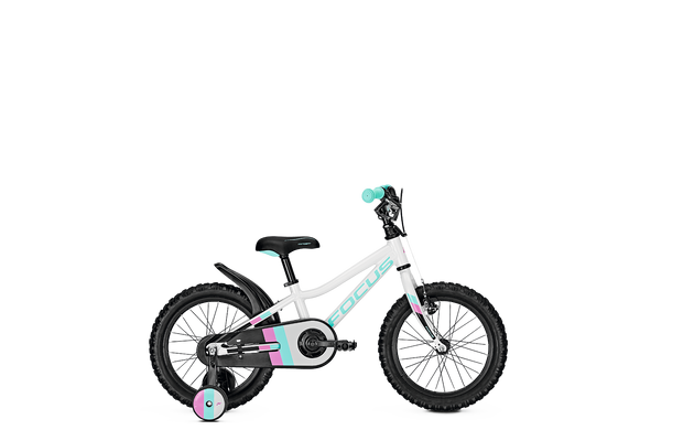 Велосипед детский Focus Raven Rookie 16 (FCS 628019003)
