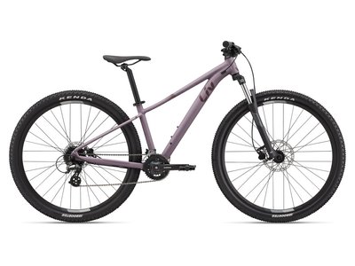 Велосипед горный Liv Tempt 3 29", 2023, Purple ash, S (2201122224)