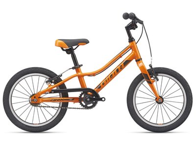 Велосипед детский Giant ARX 16 F/W, 2021 Orange (2104039210)