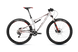 Велосипед гірський BH Lynx Race Alu, М, 29" (BH DX398.G36-M)