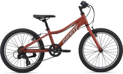 Велосипед детский Giant XTC Jr 20 Lite, 2021 Red Clay (2104031220)