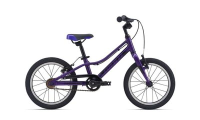 Велосипед детский Giant ARX 16 F/W, 2021 Purple (2104039610)