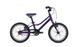 Велосипед детский Giant ARX 16 F/W, 2021 Purple (2104039610)