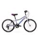 Велосипед Romet 19 Jolene Kid 20 1.0 серебряный 11 S