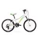 Велосипед Romet 19 Jolene Kid 20 2.0 біло-зелений 11 S