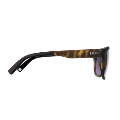 Солнцезащитные очки POC Require Tortoise Brown (PC RE10101812VSI1)