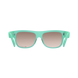 Фото Солнцезащитные очки POC Want Fluorite Green (PC WANT70121437BSM1) № 4 з 5