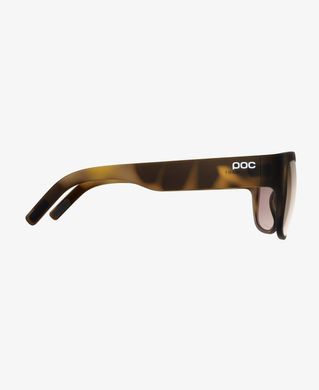Солнцезащитные очки POC Want Tortoise Brown (PC WANT70121812BSM1)