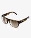 Фото Солнцезащитные очки POC Want Tortoise Brown (PC WANT70121812BSM1) № 1 з 5