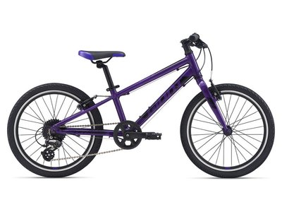 Велосипед детский Giant ARX 20, 2021 Purple (2104040610)