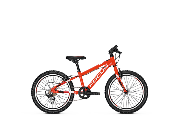 Велосипед детский Focus Raven Rookie 20 (FCS 628019010)