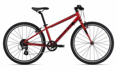 Велосипед детский Giant ARX 24, 2023 Grenadine (2204041320)